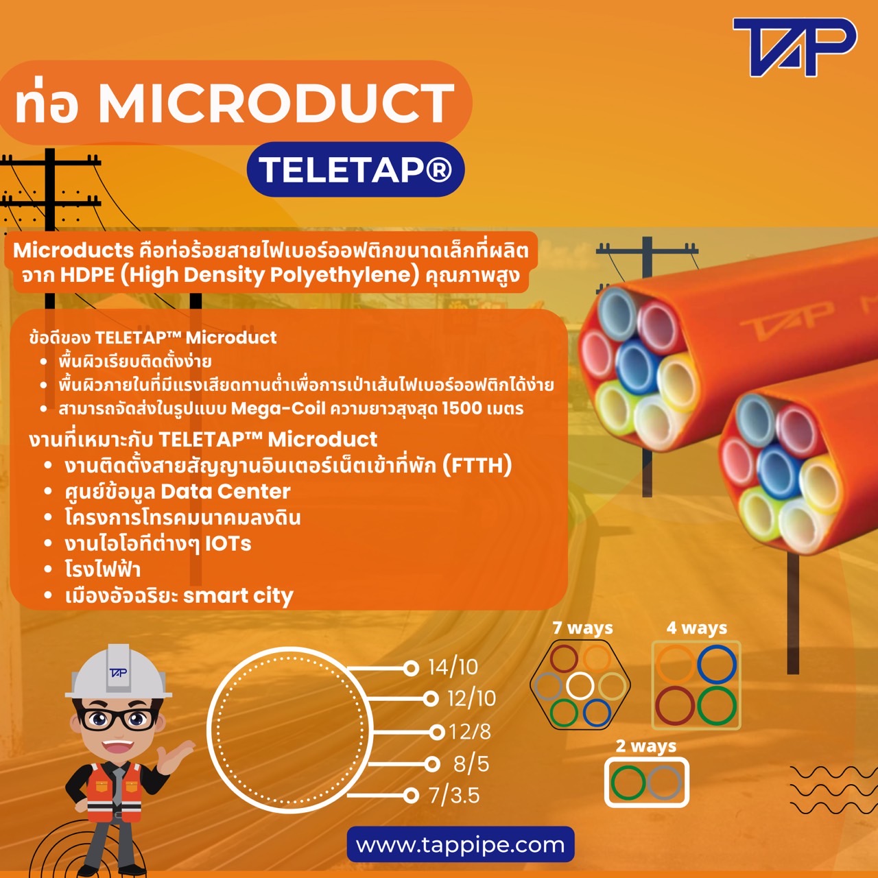 อินโฟกราฟิก : ท่อ Microducts